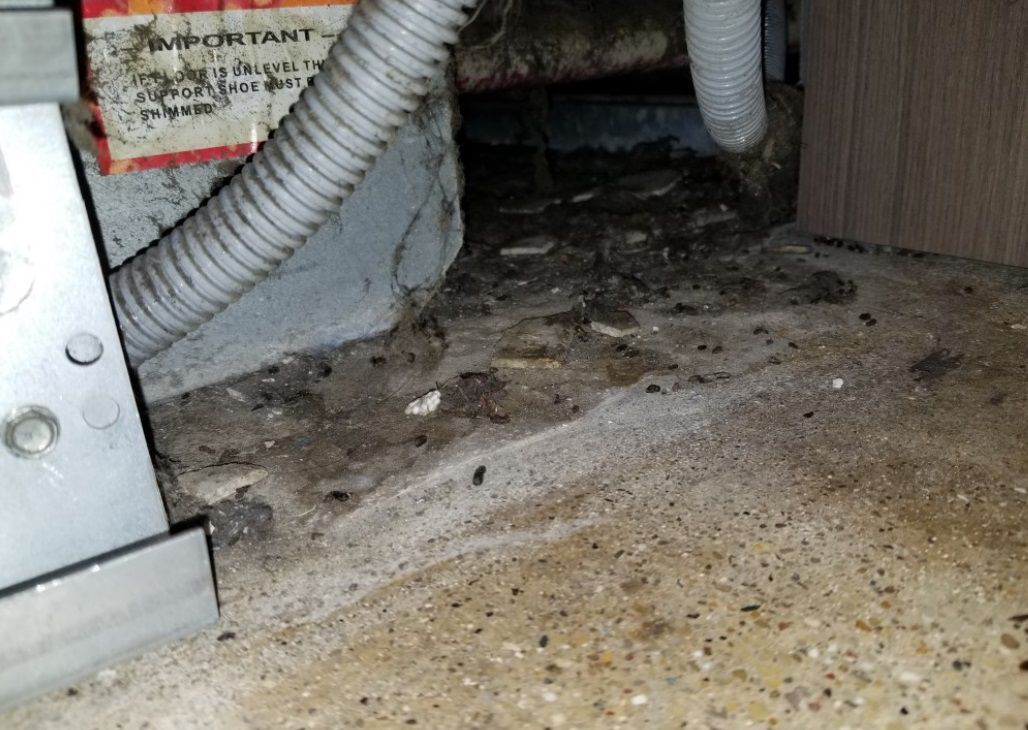 April 14 Kroger inspection